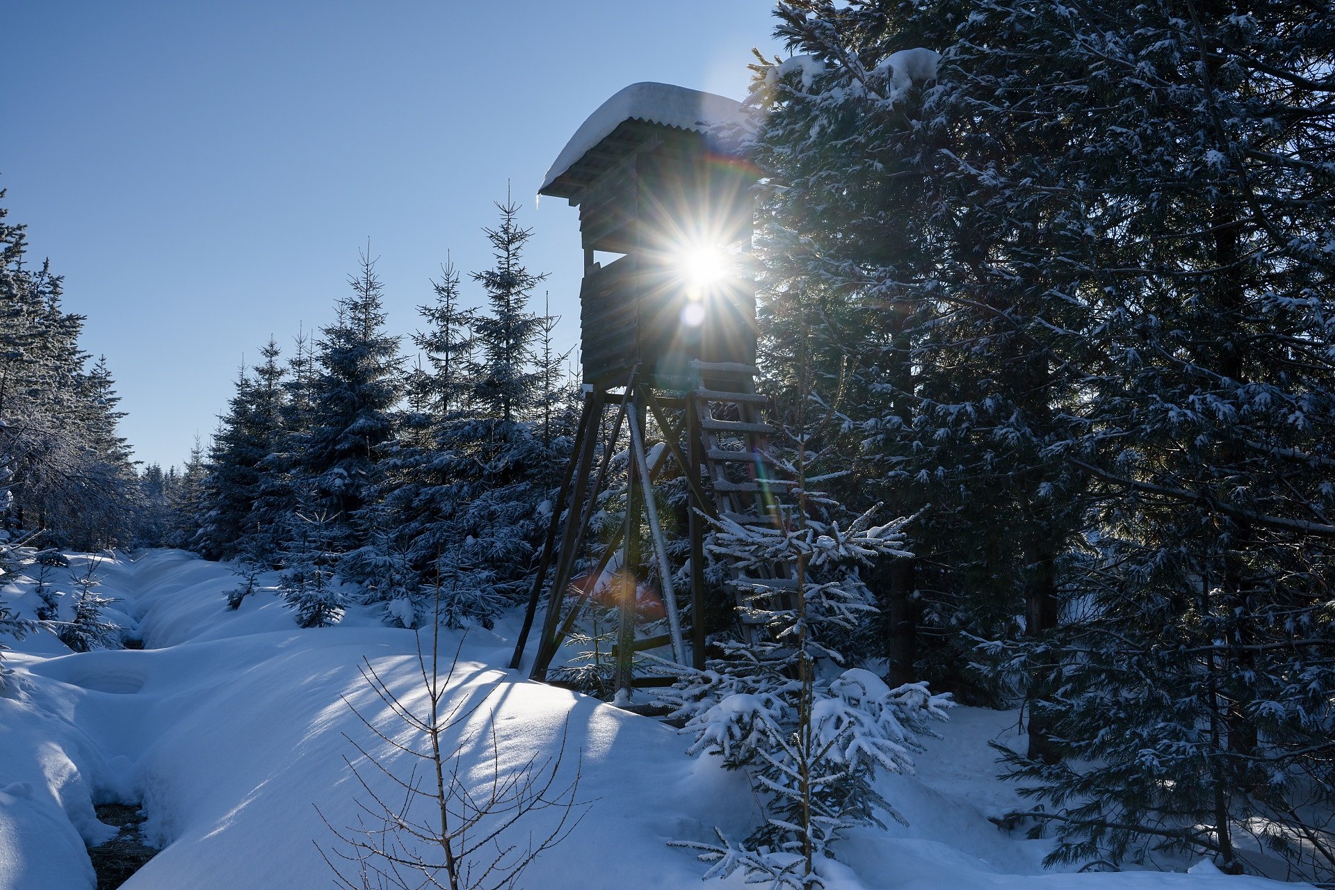 Winter im Erzgebirge